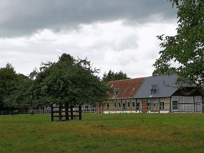 bâtiment à pan de bois