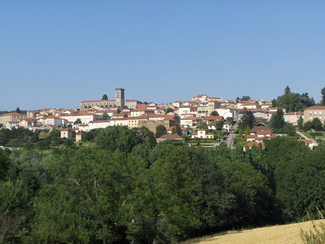 Panissières - Le panorama