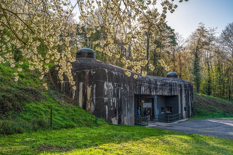 Wandertour von Soultz-sous-Forêts zur Festung Schoenenbourg