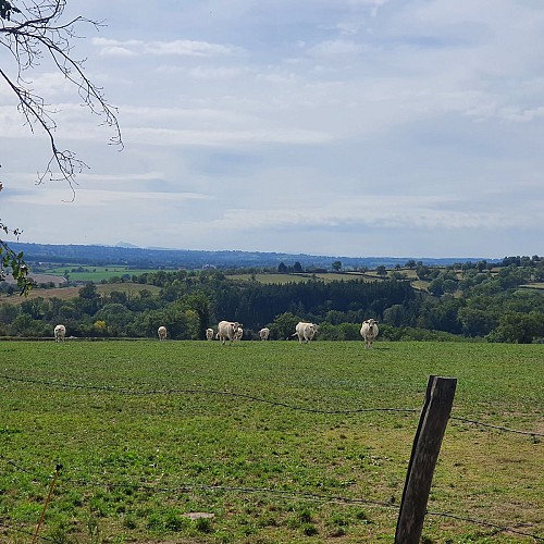 Bocage Bourbonnais, Beaune d'Allier