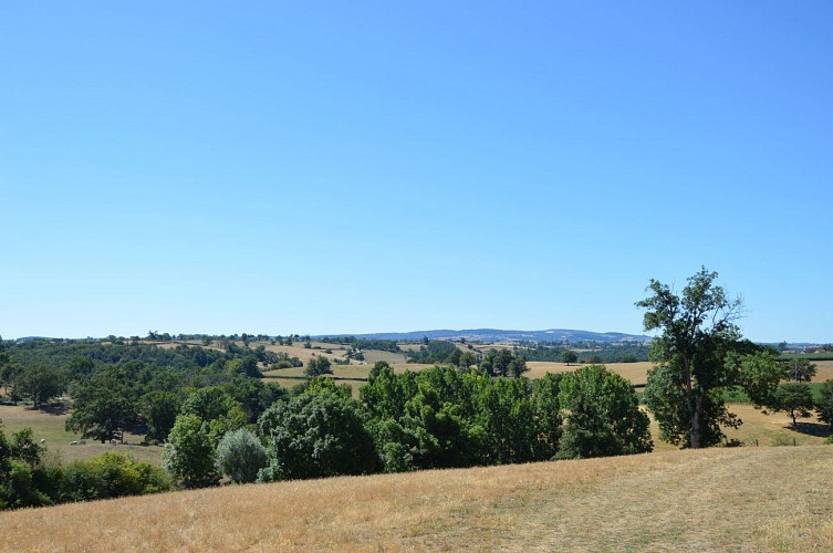 Campagne bourbonnaise à Blomard