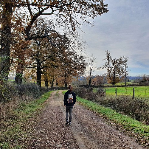 Sur les chemins de campagne