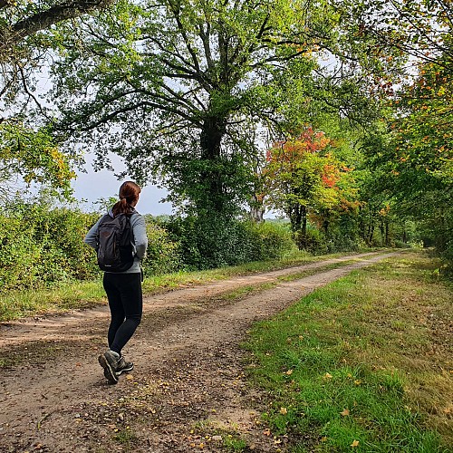 Randonneuse sur les chemins de campagne