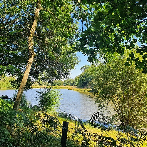 Saint-Bonnet-de-Four