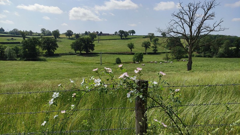 Vue sur la campagne, Villefranche d'Allier
