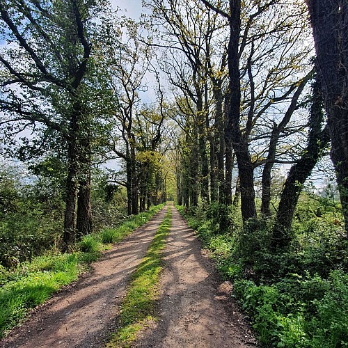 Villefranche d'Allier