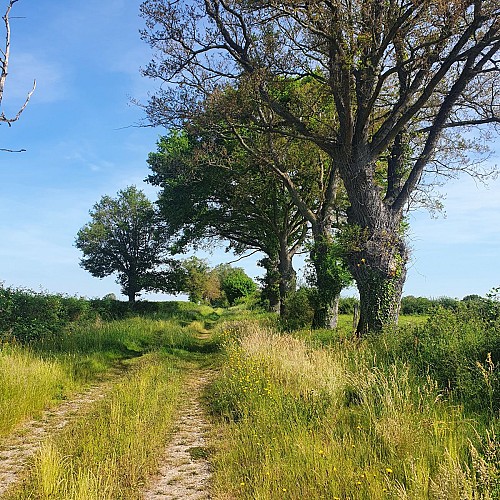 Campagne, Bizeneuille