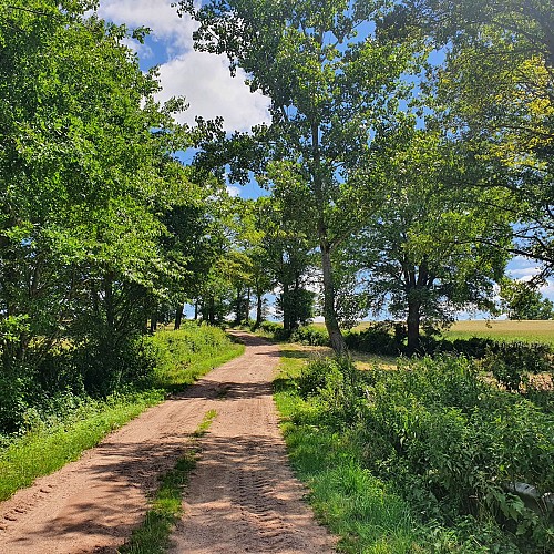 Chemin de campagne, Bézenet