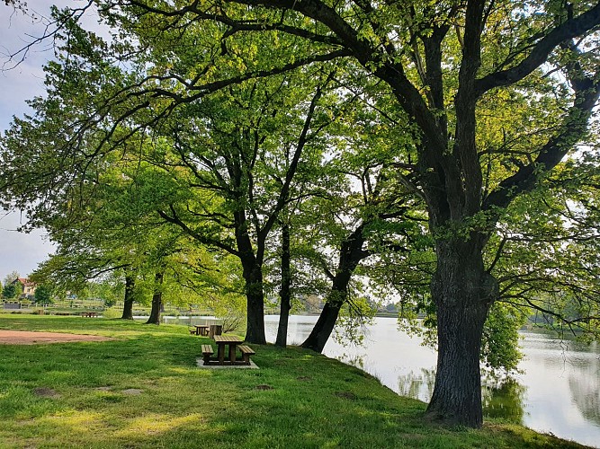 Etang de la Planche, Doyet