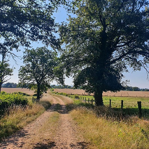 Chemin de campagne, Chamblet