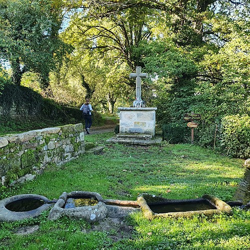 Fontaine Saint-Patrocle, Colombier