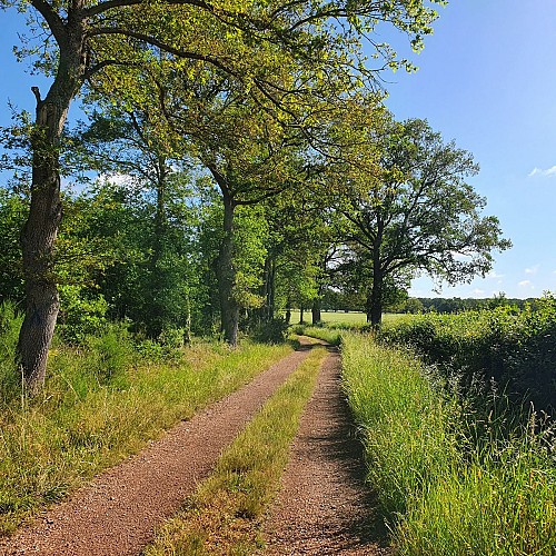 Chemin de campagne, Deneuille-les-Mines
