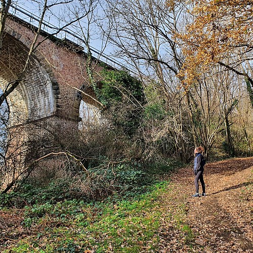 Viaduc du Soleil, Montvicq