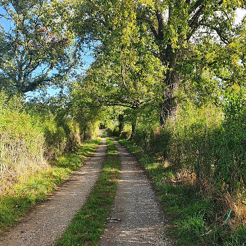Chemin de campagne, Malicorne