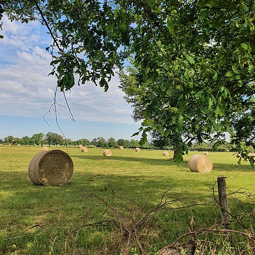 Campagne, Saint-Angel