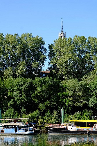 Route: from the Château de Vincennes to the banks of the Marne at Maisons-Alfort
