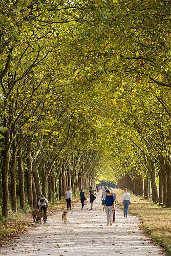 Route: from the Château de Vincennes to the banks of the Marne at Maisons-Alfort