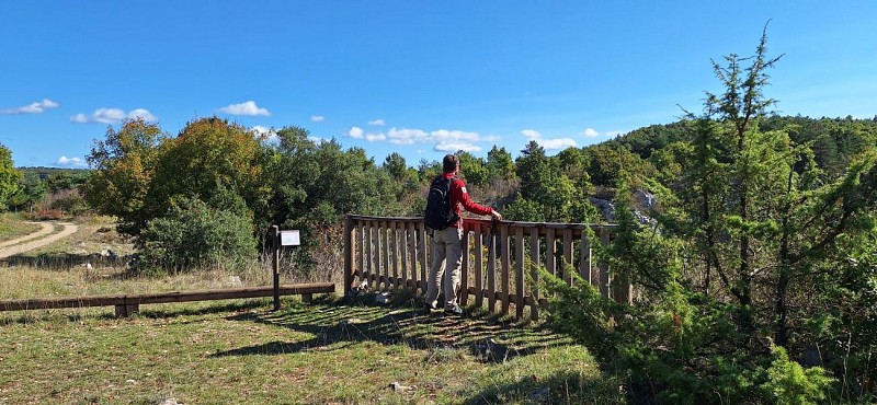 georando sorbs 26 -@ Sylvie Villedieu - CD34