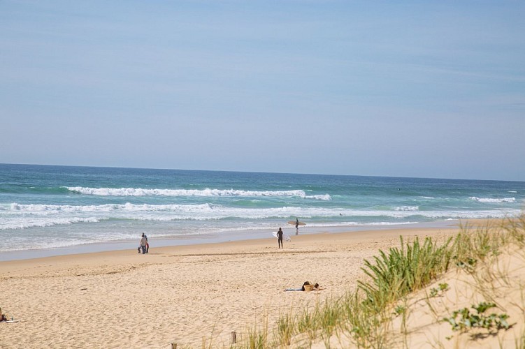 Plages océanes et forêt - Lège Petit Crohot