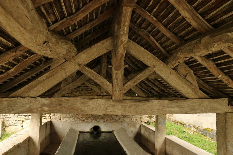 Vom Schloss Serrières zu den Communaux de Trept: Eine Zeitreise entlang des Wassers_Trept