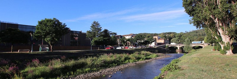 Les pierres dorées - Les vignes des Pierres Dorées - Boucle 7.2_Anse