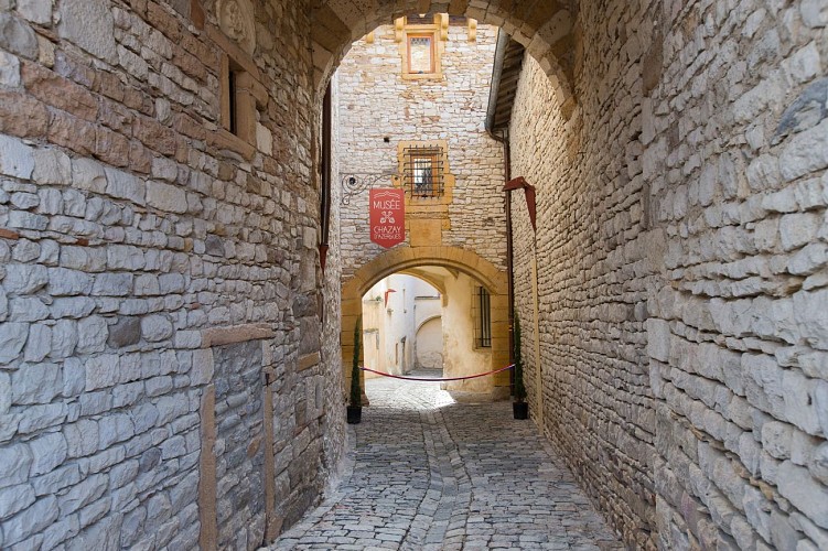 Les pierres dorées - Les vignes des Pierres Dorées - Boucle 7.2_Anse