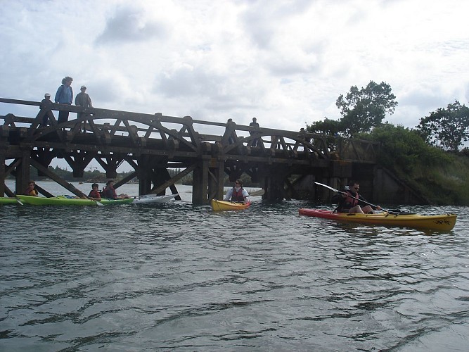 Kayak dans le marais de Sables-d'Or-les-Pins