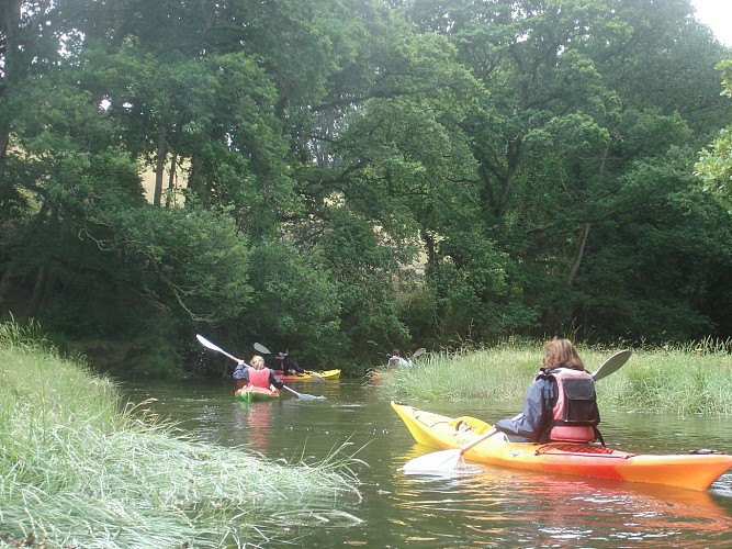 Kayak dans le marais de Sables-d'Or-les-Pins