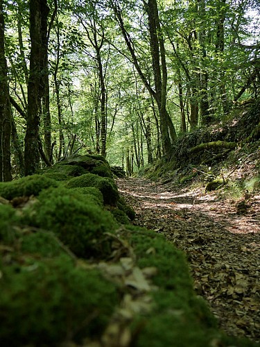 Circuit de la Gour_2