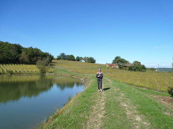 randonnée lac vignoble conchez-de-béarn