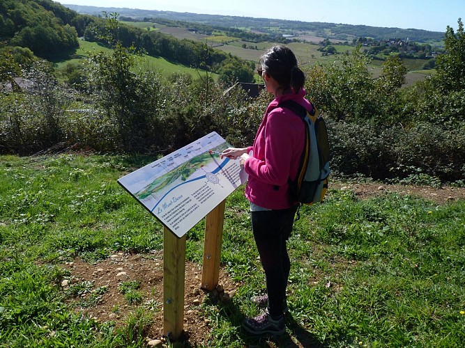 randonnée conchez-de-béarn vignoble table orientation