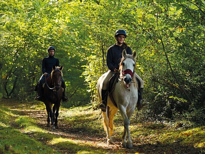 circuit randonnee equestre vic-bilh madiran