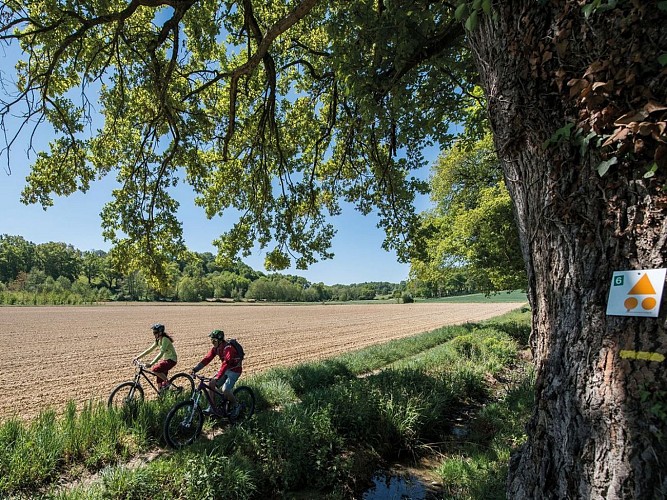 Rando des Pacheras VTT @ Peio Gaillard