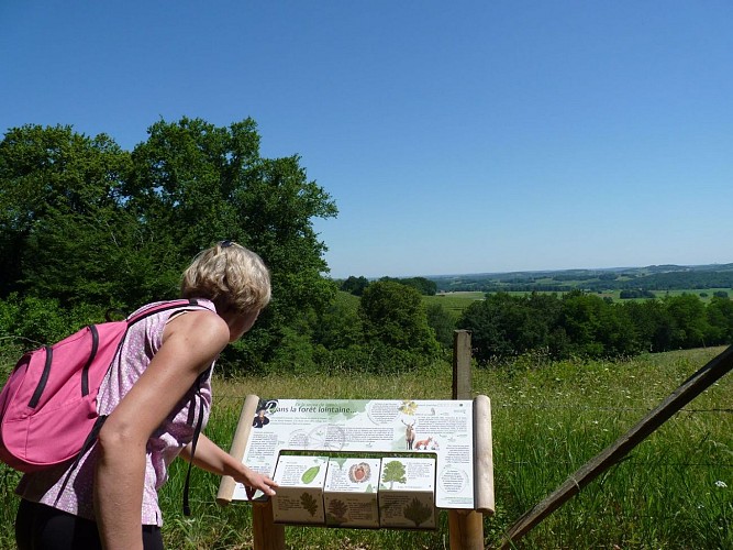 AYDIE promenade joseph peyre credit syndicat tourisme nord bearn madiran foret