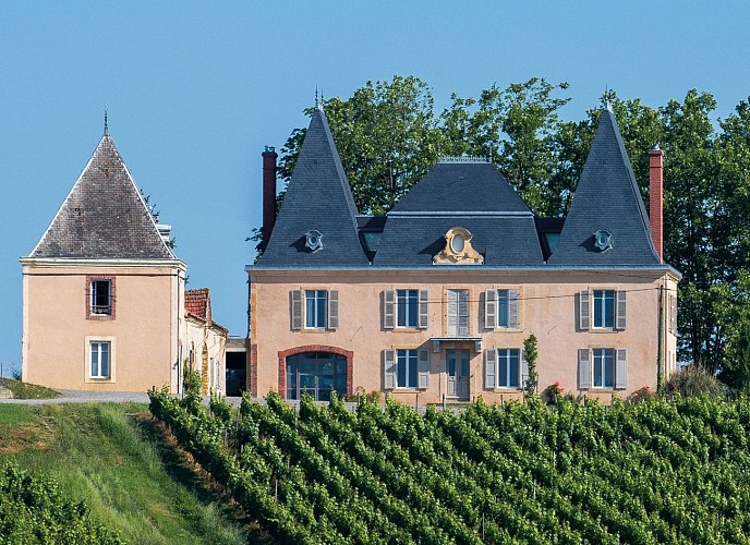 randonnée au coeur du vignoble aydie chateau aydie 