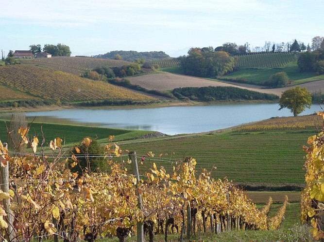 randonnée vignoble lac aydie