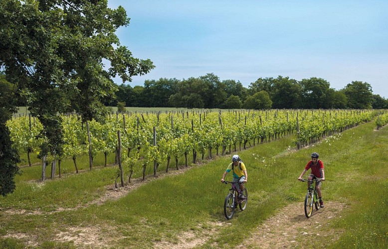 randonnée vtt vignoble Madiran