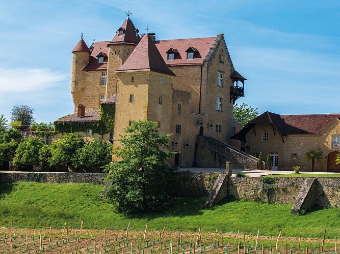 randonnée balade Chateau arricau-bordes 1440x1080