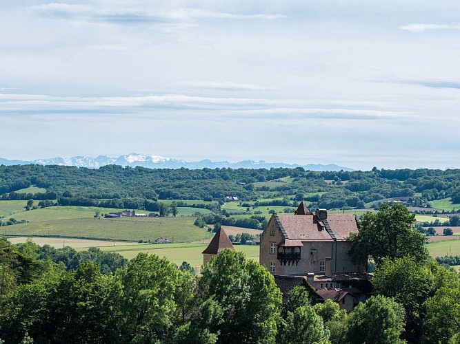randonnée balade Chateau arricau-bordes (2)