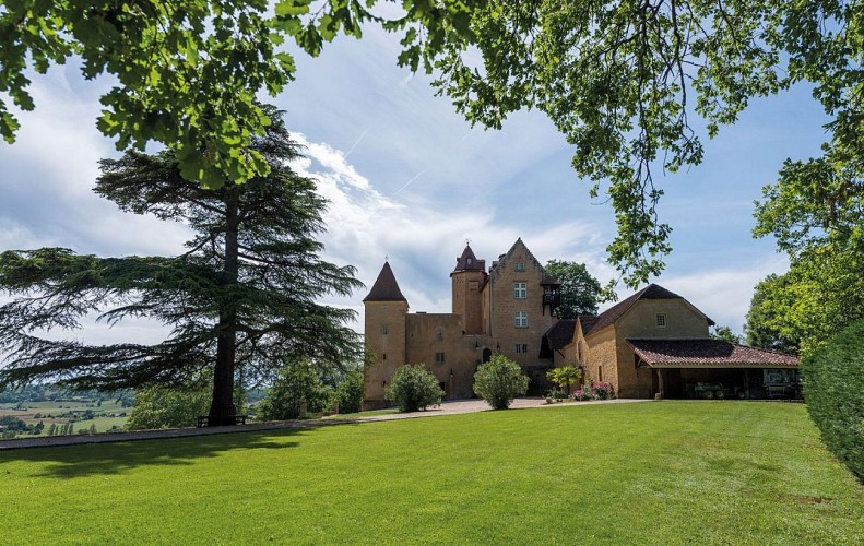 randonnée balade chateau arricau-bordes