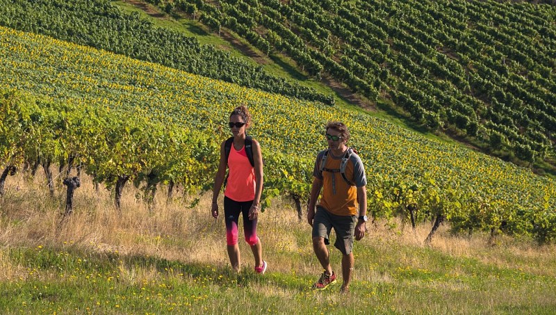 randonnée entre vignes et chateau crouseilles 2