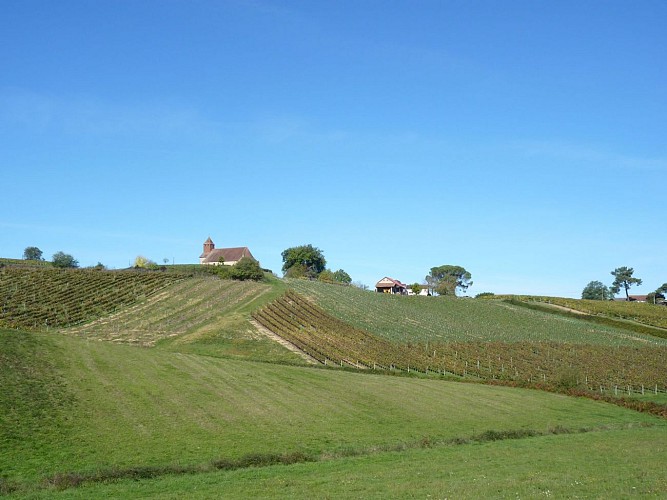 entre vignes et chateau crouseilles randonnée