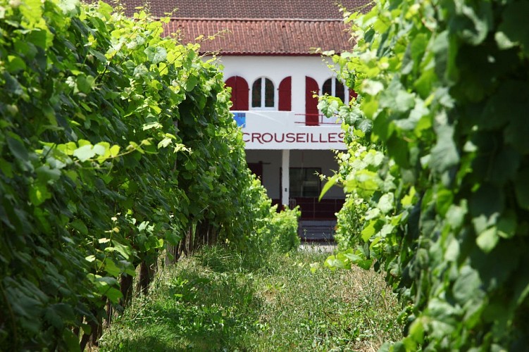 Vignes - Crouseilles - cph SMT NB Madiran