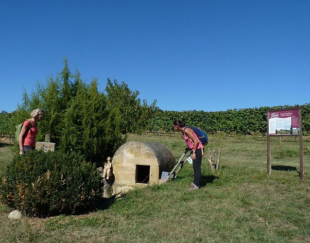 fontaine moncaup vigne Floris madiran - Copie