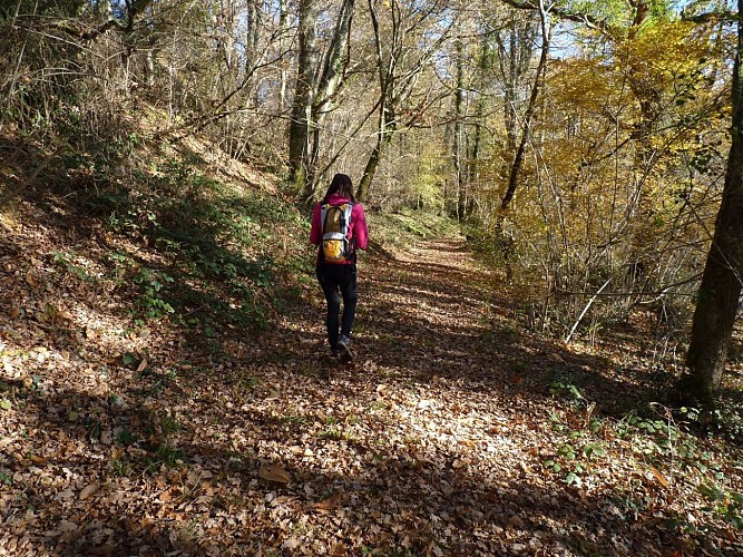 randonnée sentier Portet Vic-Bilh - Copie - Copie