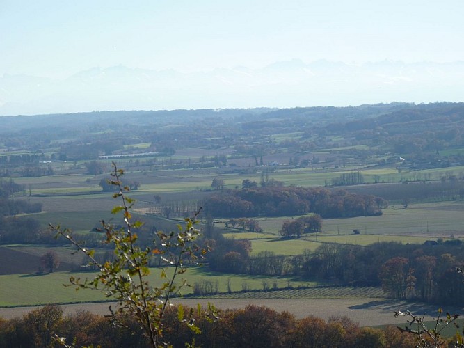 Vue randonnée à Portet en Vic-Bilh