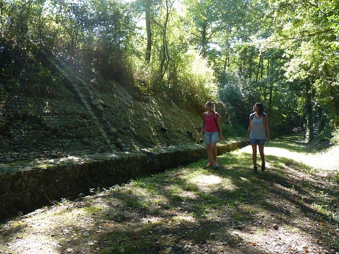 randonnée lembeye chemin ligne