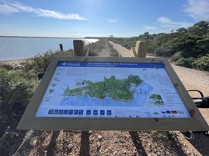 Des Aresquiers à la Pointe d'Ingril