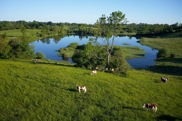 Etang d'Arsure-Arsurette