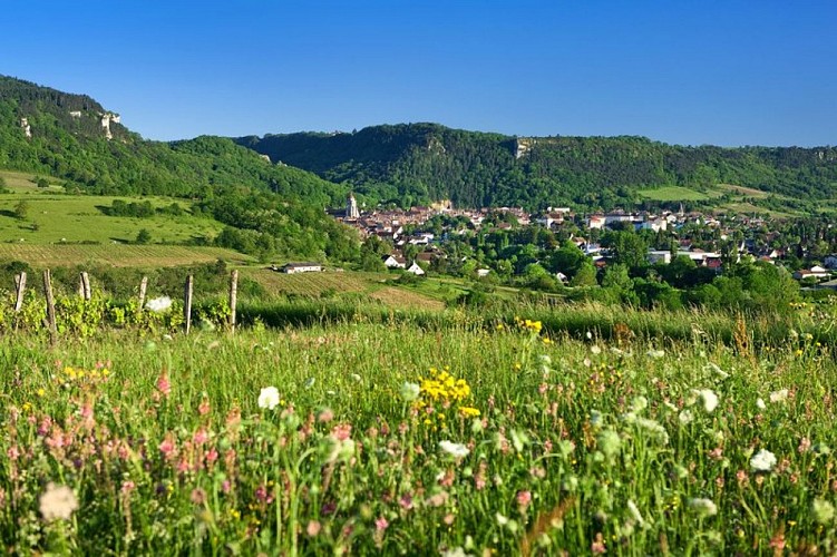 Poligny, Capitale du Comté